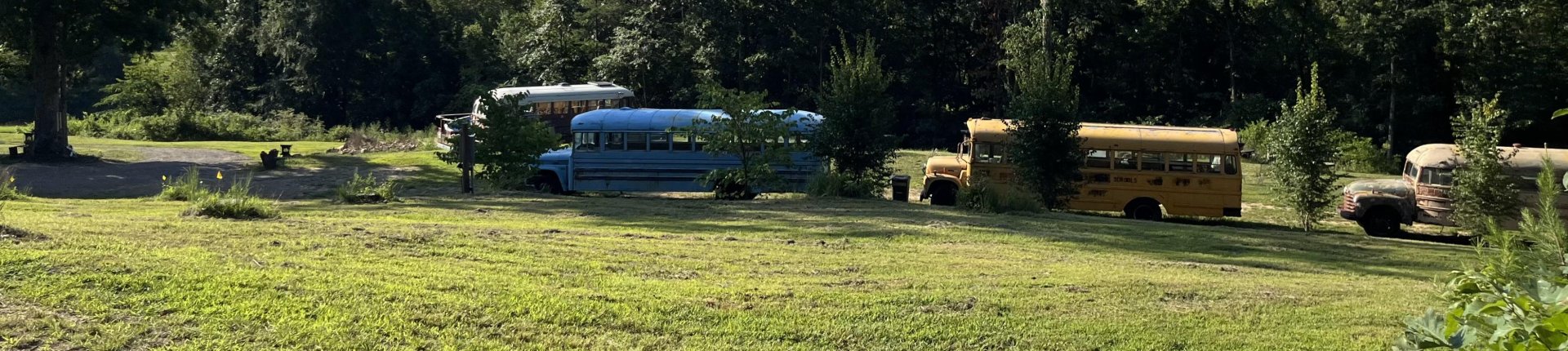 Cover image for public collection