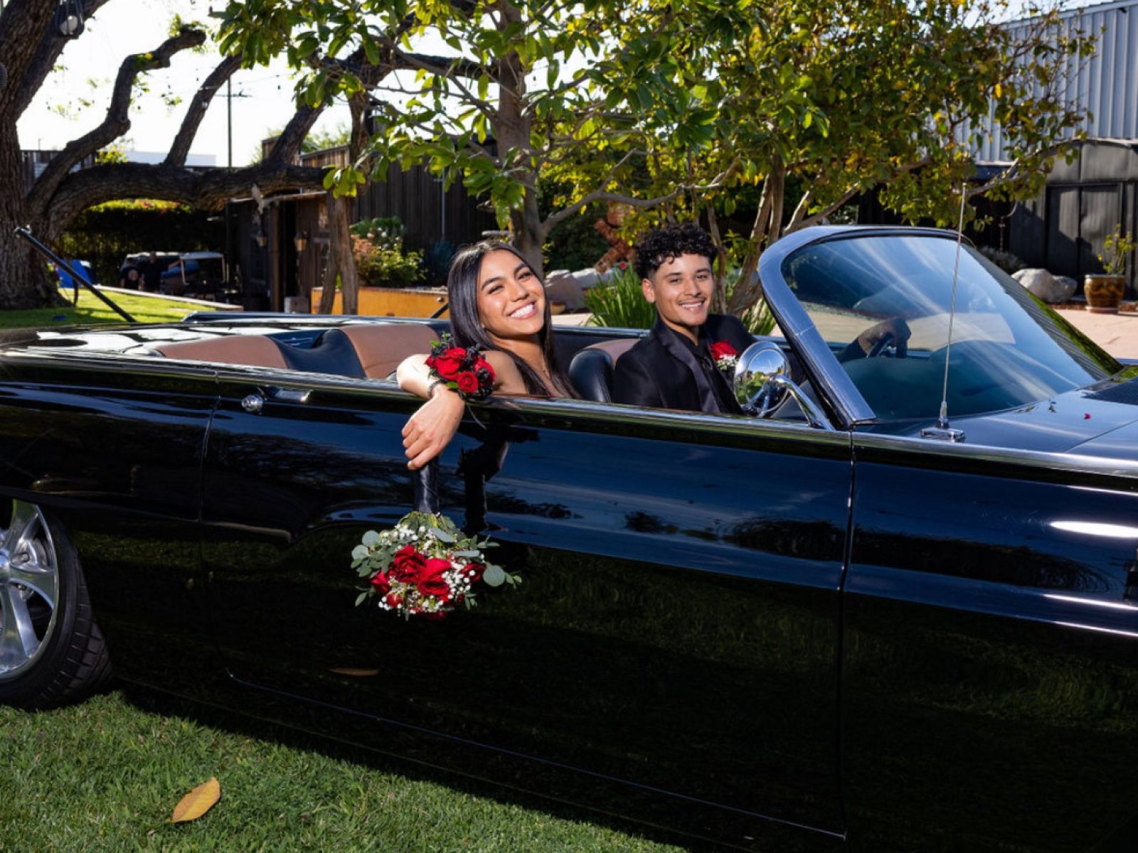 Cover image for public collection