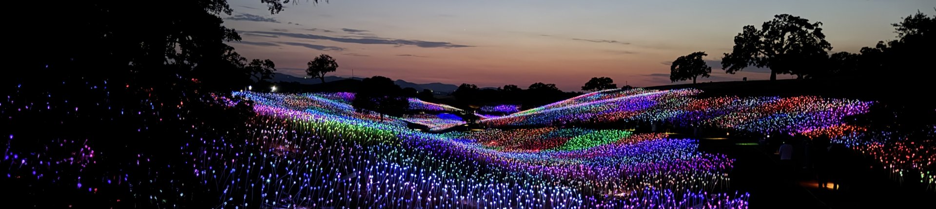 Cover image for public collection