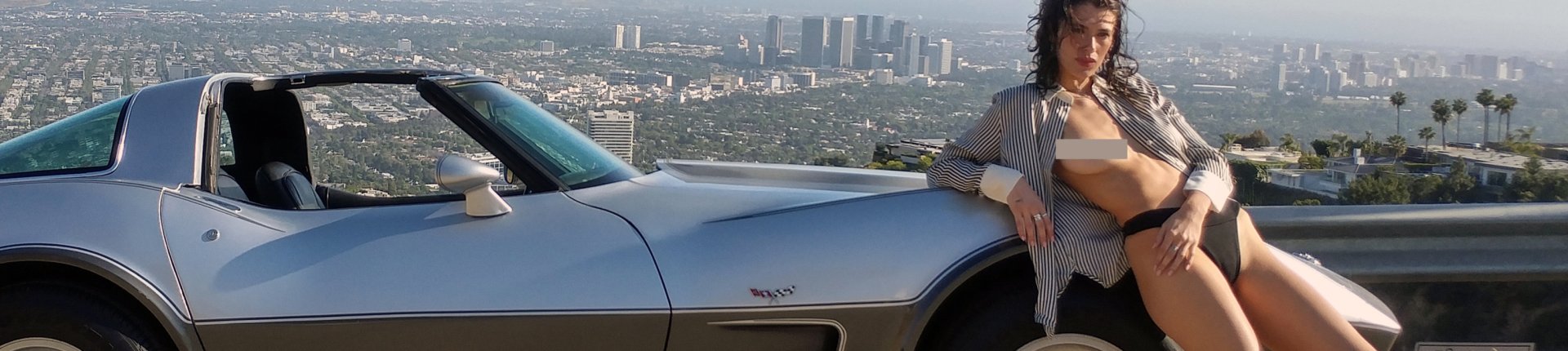 Cover image for public collection