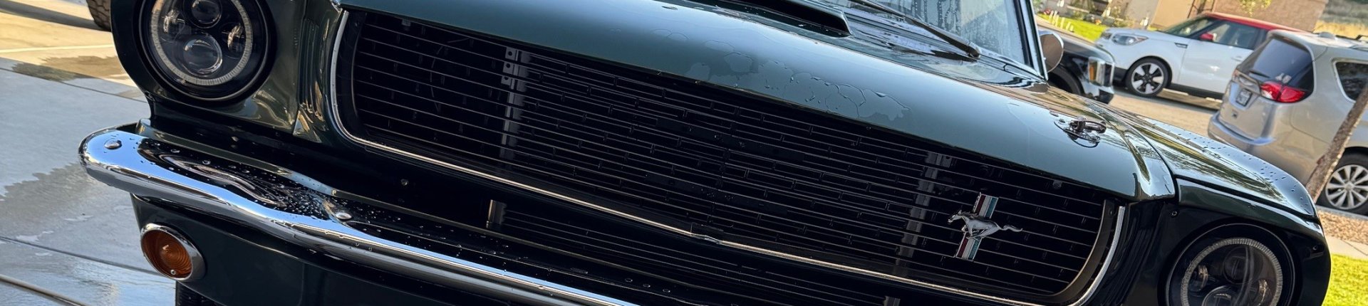 Cover image for public collection