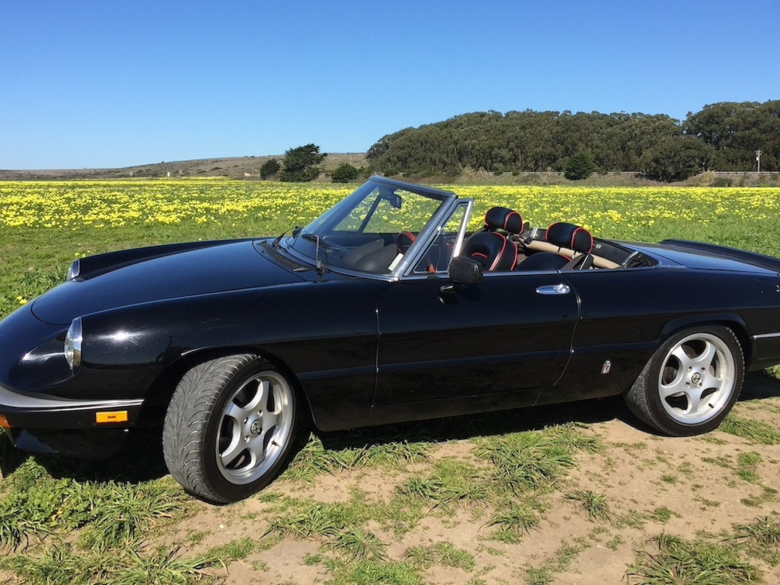 Cover image for public collection