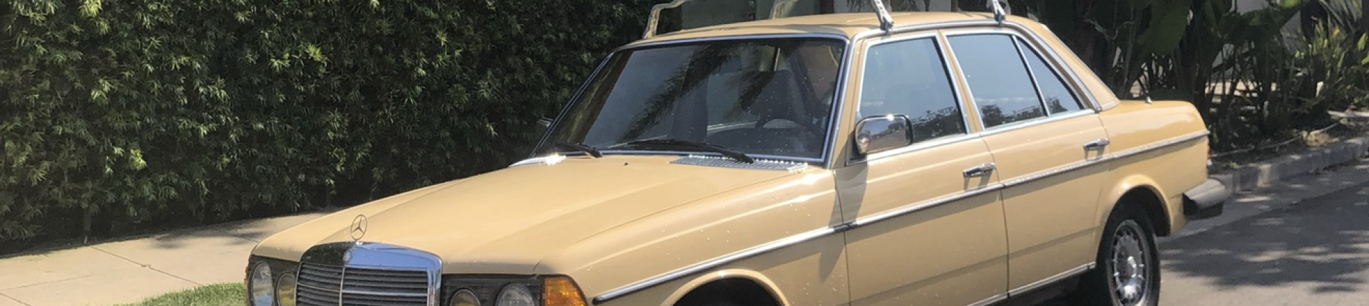 Cover image for public collection