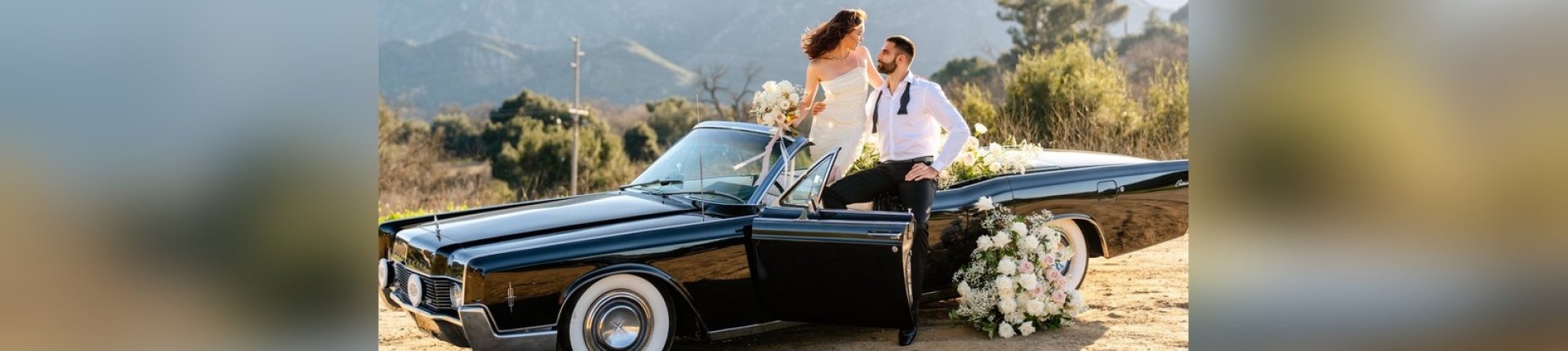 Cover image for public collection