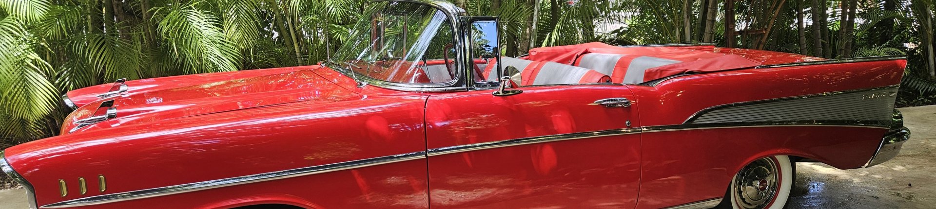 Cover image for public collection