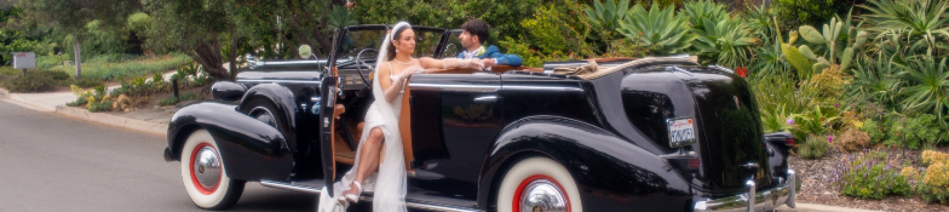 Cover image for public collection