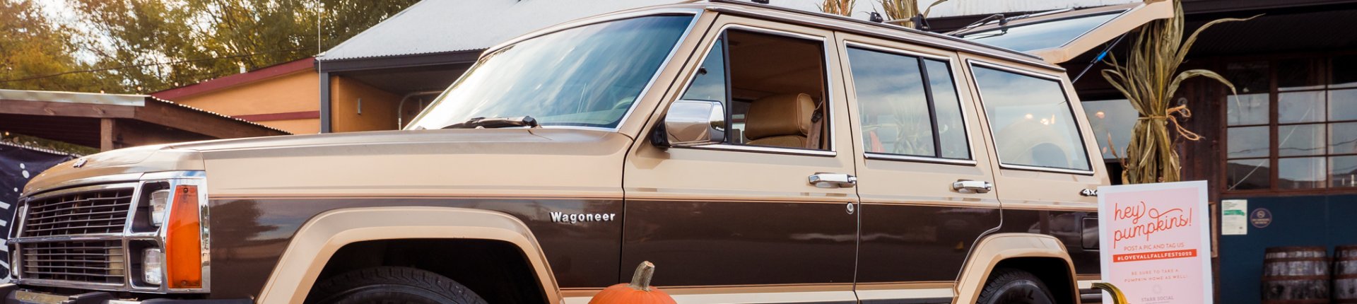 Cover image for public collection