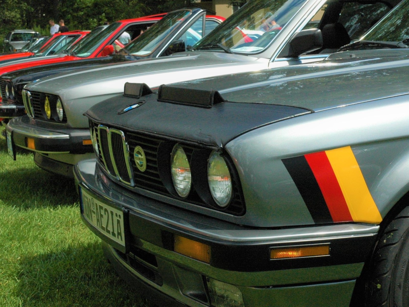 Cover image for public collection