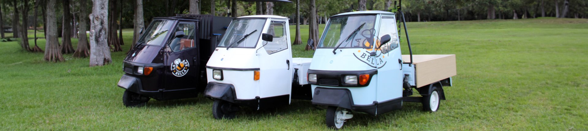 Cover image for public collection