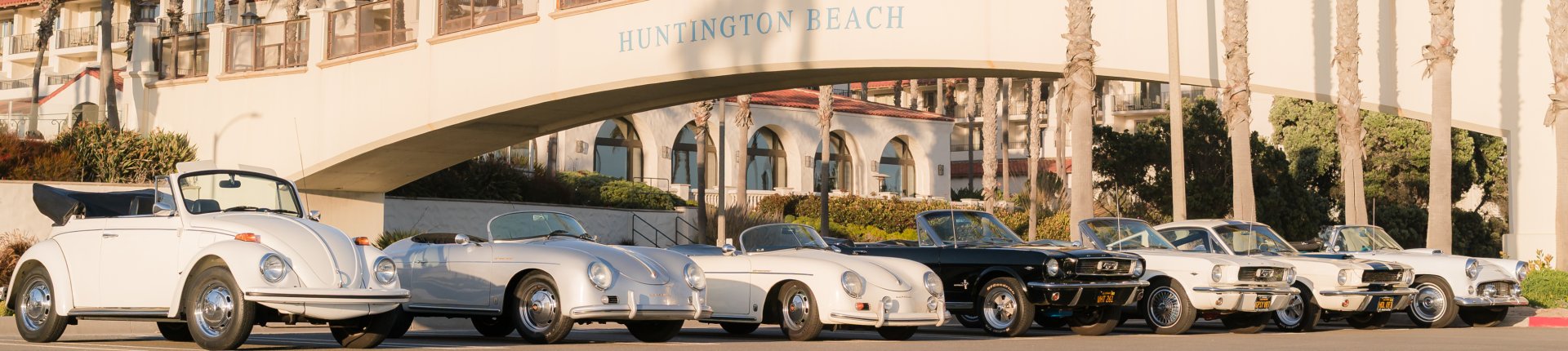 Cover image for public collection